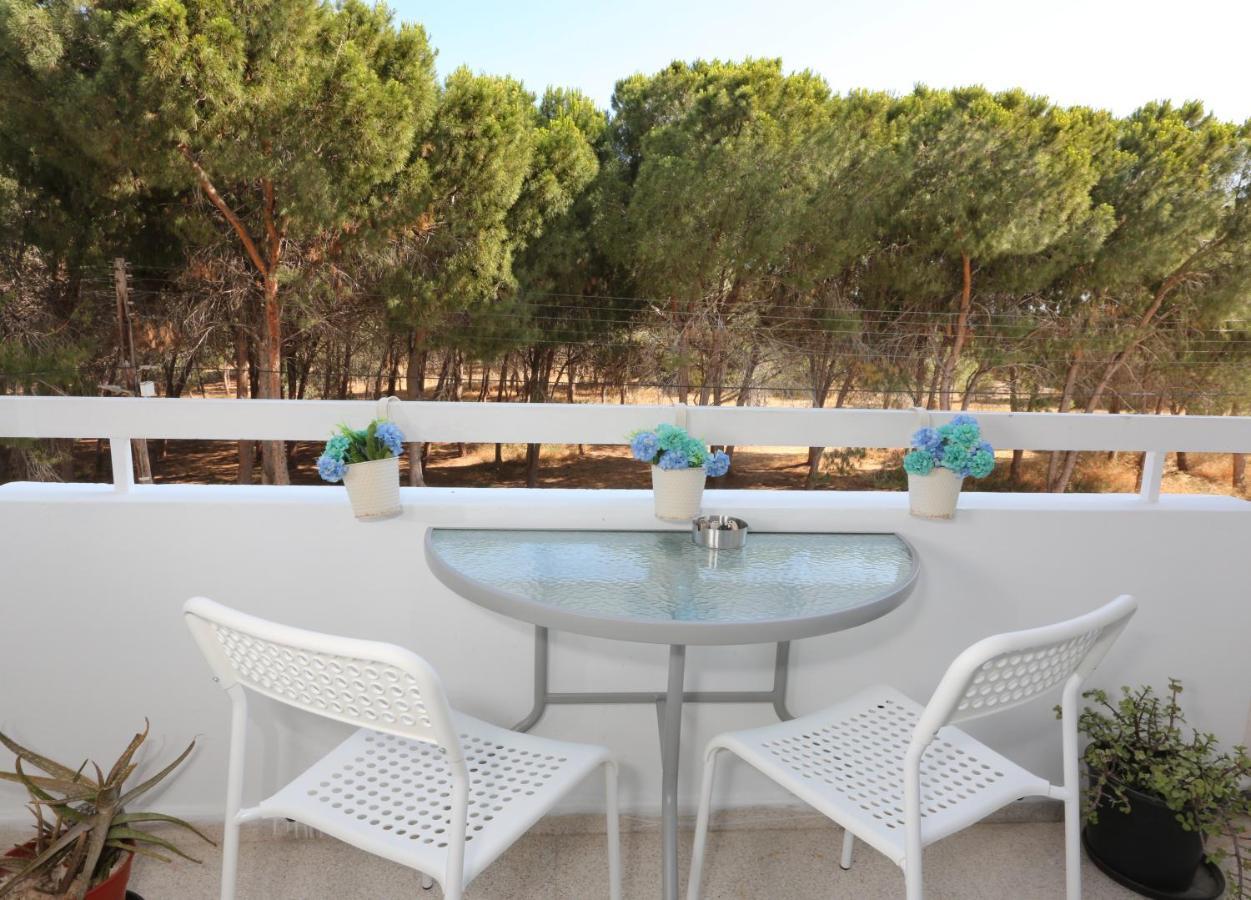 Cozy Holiday Apartment In Larnaca Near Foinikoudes Zewnętrze zdjęcie