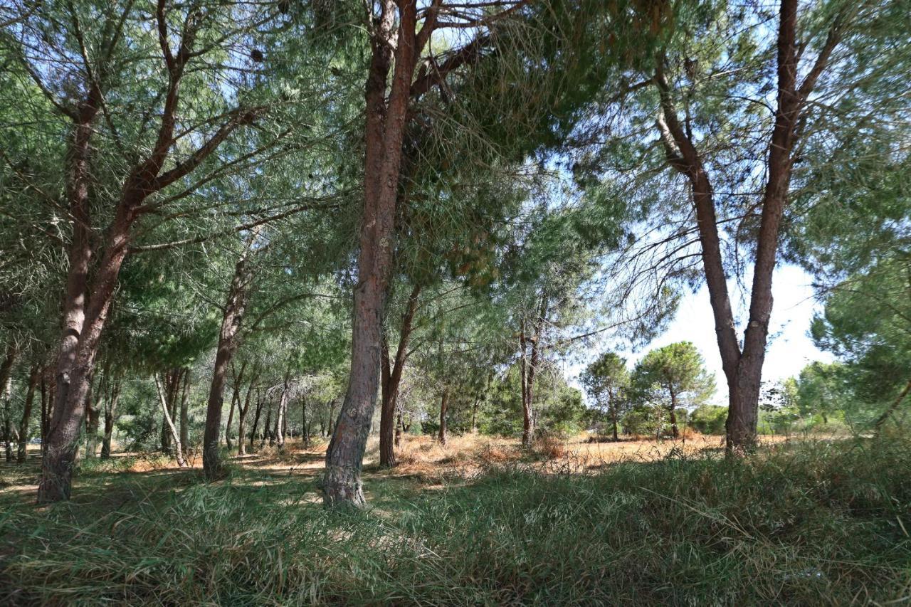 Cozy Holiday Apartment In Larnaca Near Foinikoudes Zewnętrze zdjęcie